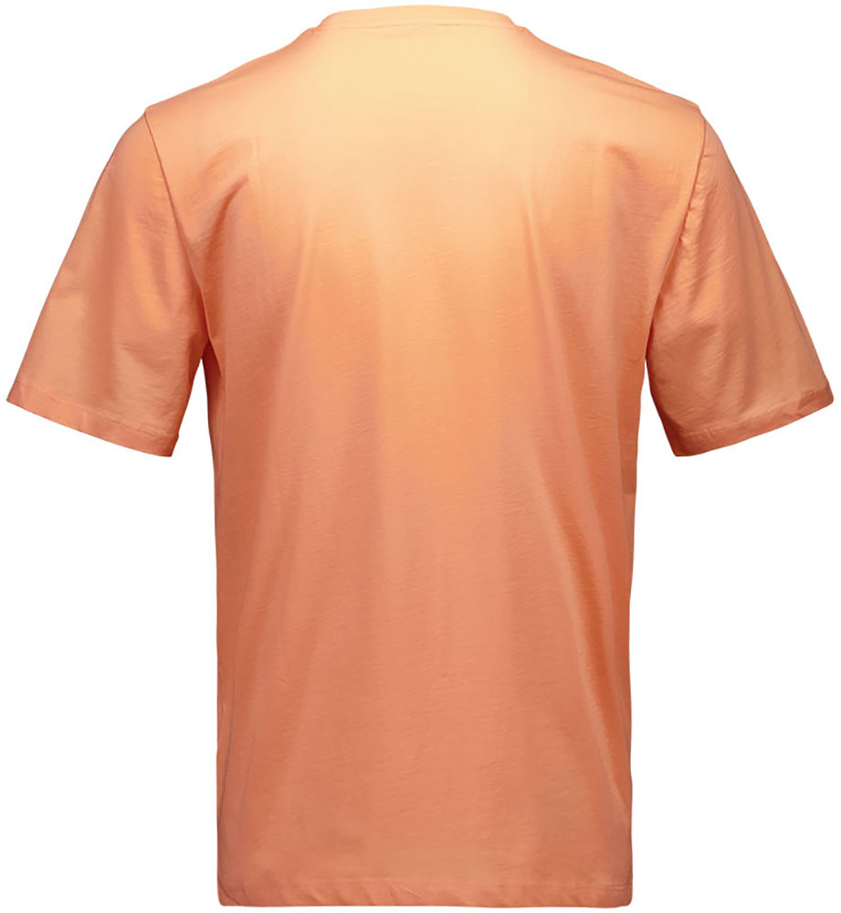 POC_616501232S_Tee_T_Shirt (1).jpg