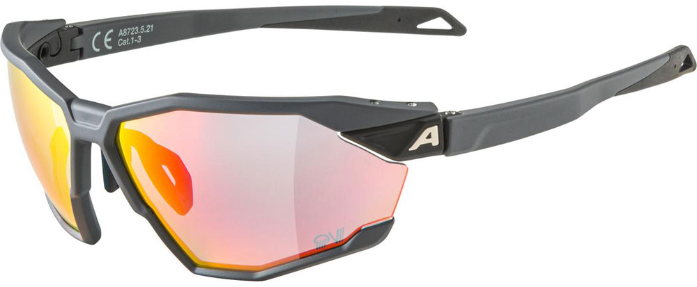 Alpina_A8723521_TwistSixQV_Sportrille_ (1).jpg