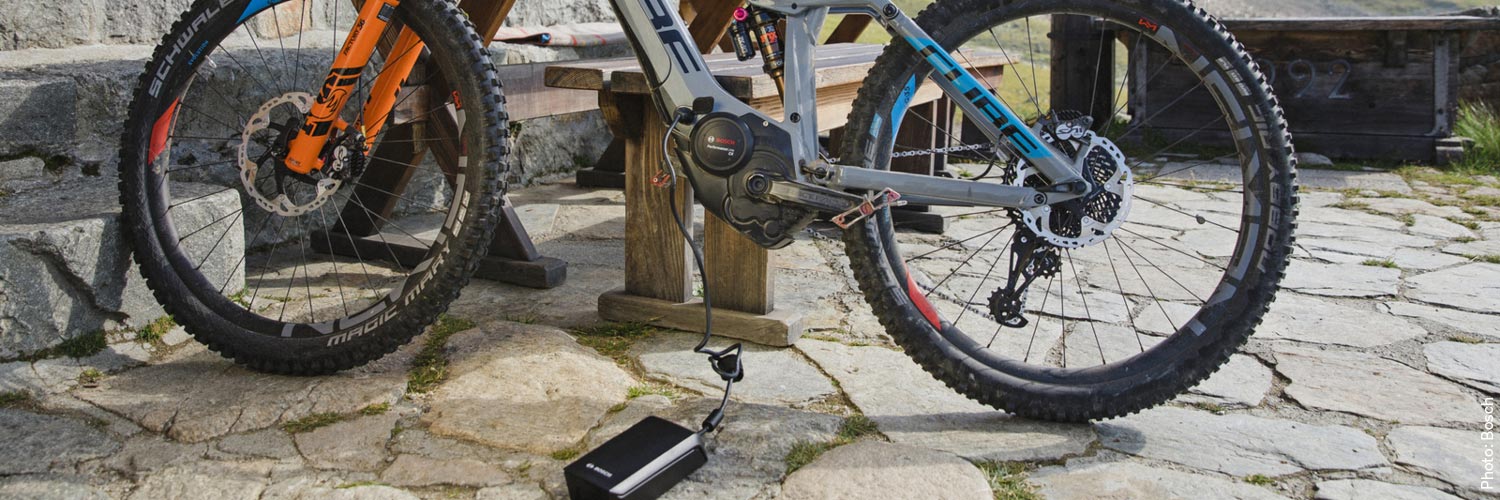elektronik_e-bike_akkuladegeraete.jpg