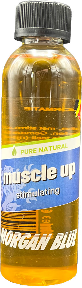 17_muscle-up-stimulating.jpg