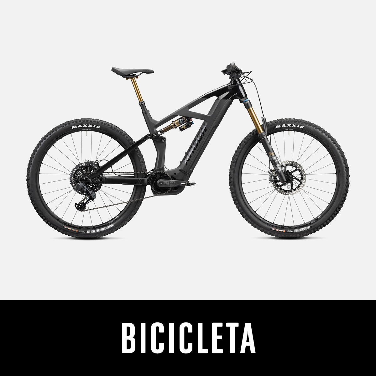Bicicleta