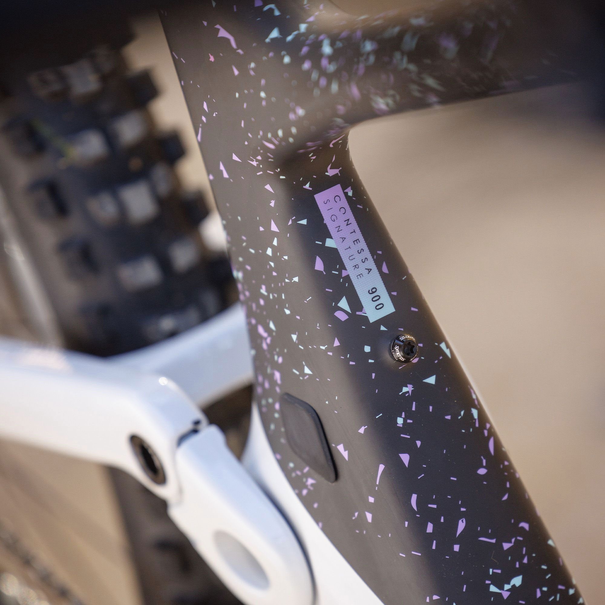 Scott 293343 20163820 Contessa Voltage eRIDE 900  (3).jpg