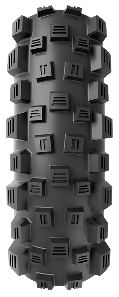 Vittoria-e-Martello-2.jpg