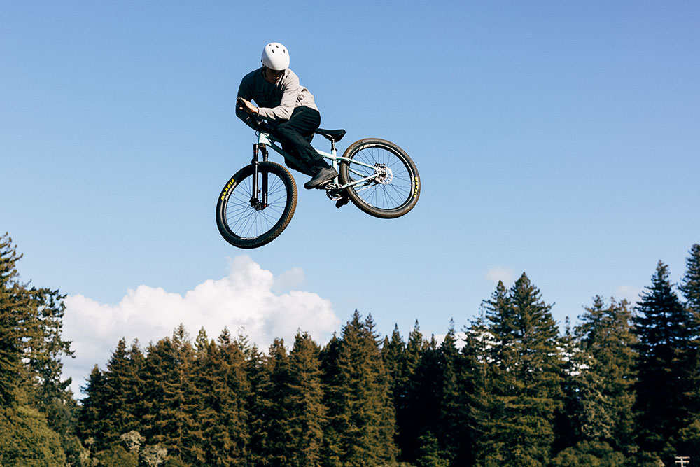 Fox_UnionFlat_29354_001_MTBSchuhe_IMG (5).jpg