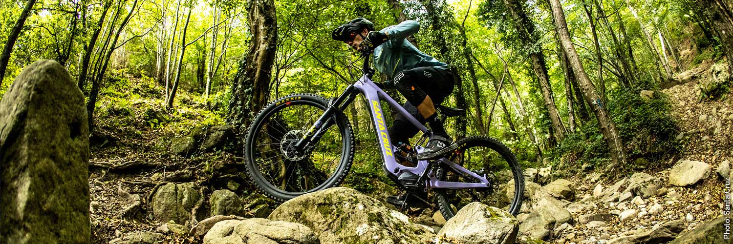 e-bikes_2021.jpg