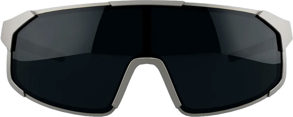 Specs 02 grey/black - Sports Glasses