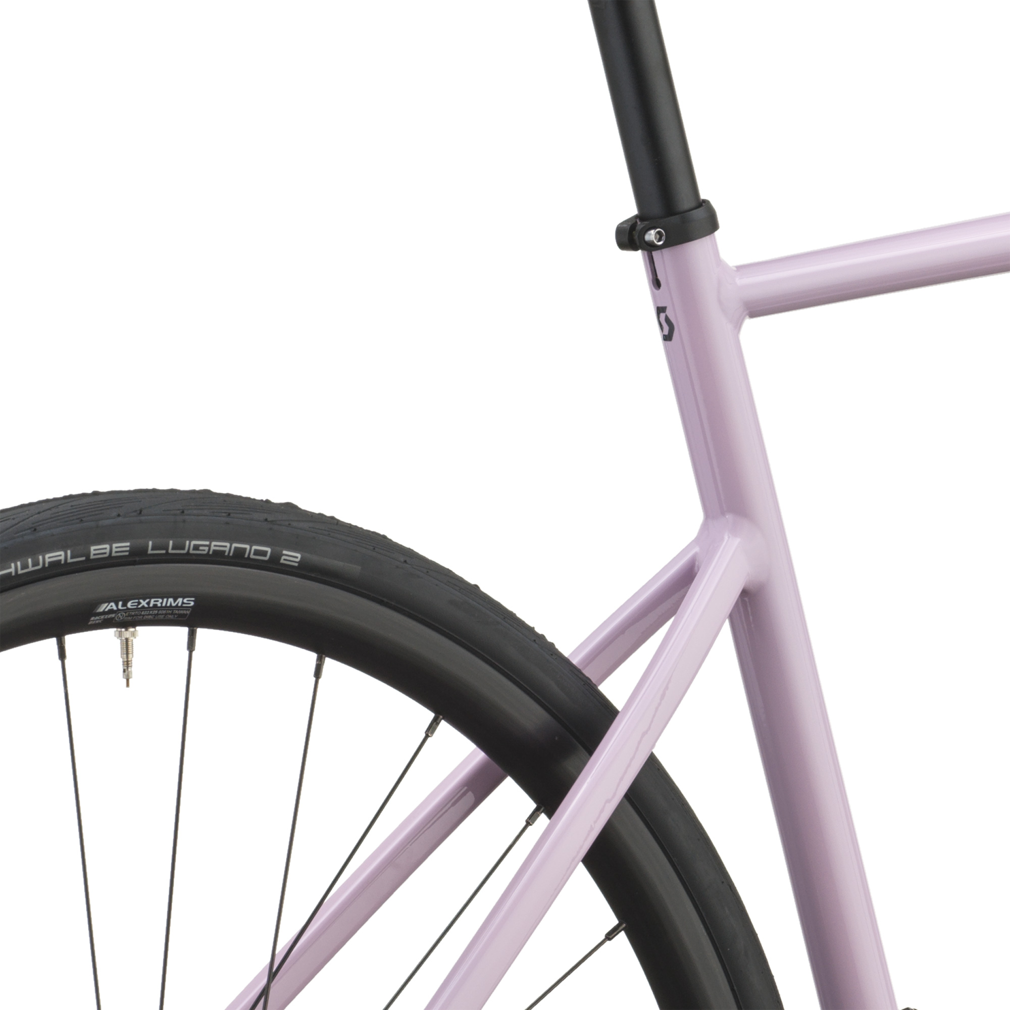 Speedster 20 Rosa Malva