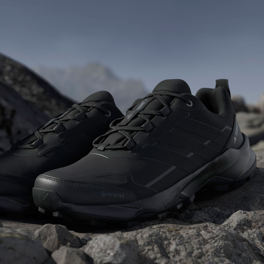 Adidas_JQ2210_Terrex_Skyschaser_AX5_GTX_Wanderschuhe (4).jpg