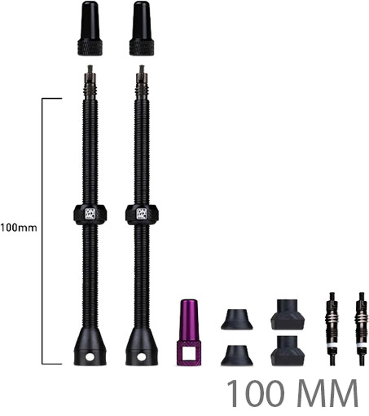 DY098-Bar-Keeper-Tubelessventile-100(FV).jpg