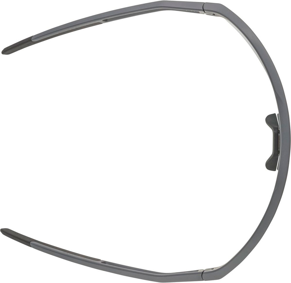 Alpina_A8732521_SonicHRQV_Sportbrille_ (2).jpg