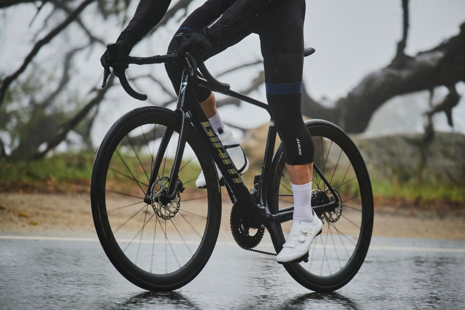Giant 1096028144 20164821 TCR Advanced Pro 1  (9).jpg