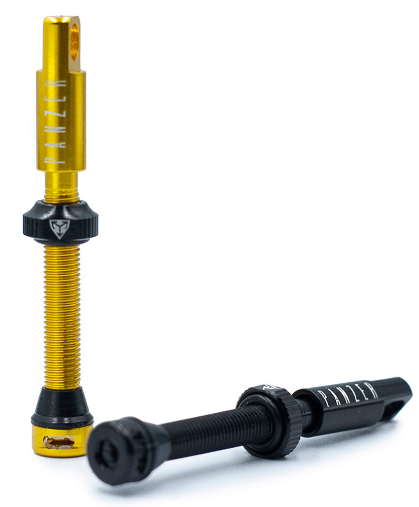 Panzer-Tubeless-Ventile-48mm-TLV48GLD-9.jpg