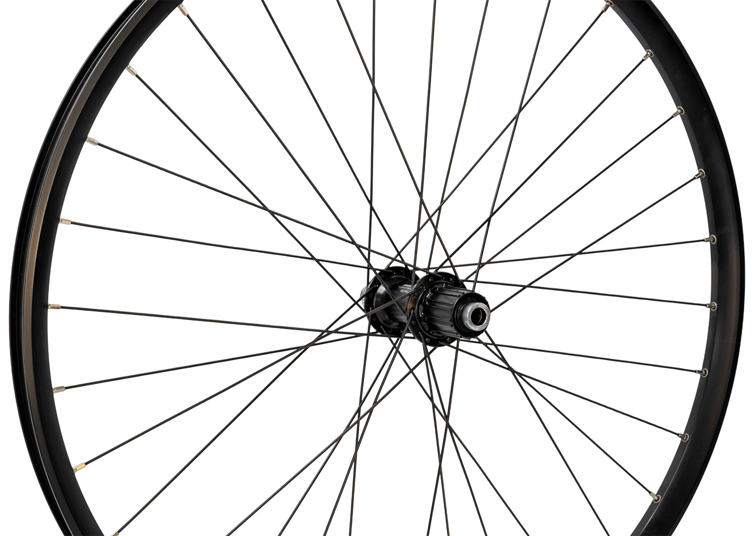 Rueda trasera de 29" Shimano XT FH-M8010 Boost / DT Swiss H 522: OFERTA ESPECIAL