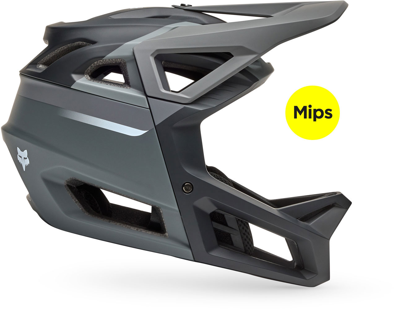 33482_330_MIPS.jpg