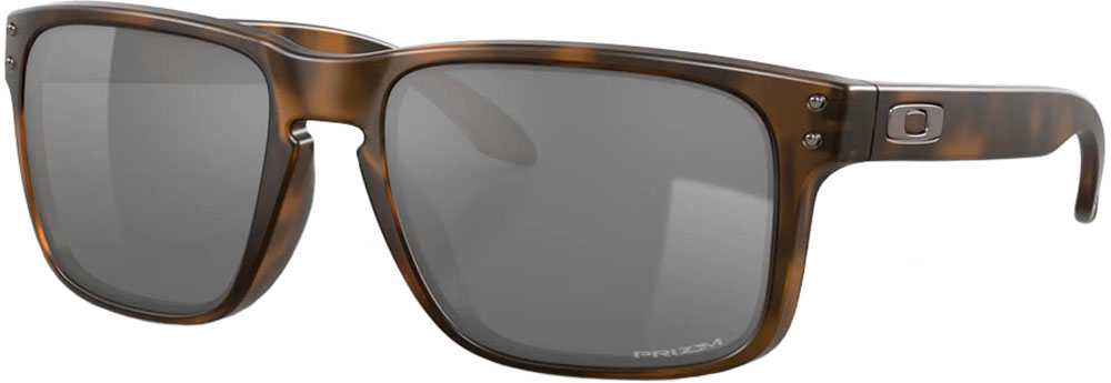 Oakley_0OO9102__F455_HolbrookPRIZMBlack_Sonnenbrille_ (1).jpg