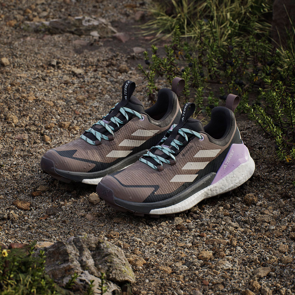 Adidas_Terrex_Free_Hiker2Low_GTX_trabrn_wonalu_carbon (20).jpg