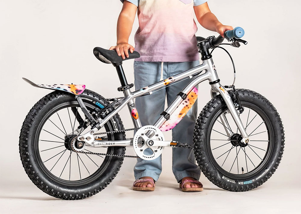 Bumbinos Rear Splashguard + Frame – Kit Blade
