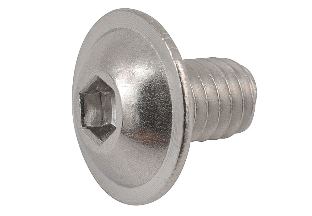 Radon-Render-Hybrid-Jealous-Hybrid-M4x6-Schraube-für-Kettenstrebenschutz-20092587.jpg