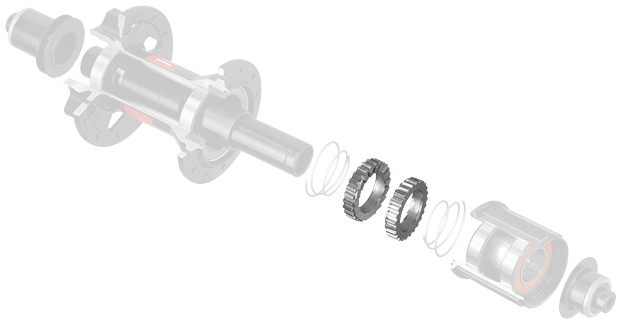 DTSwiss_Ratchet_Kit_36_2.jpg