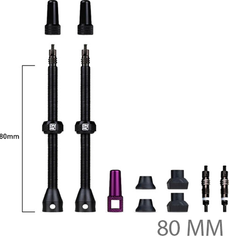 DY095-Bar-Keeper-Tubelessventile-80(FV).jpg