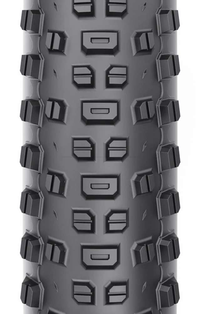 Ranger TCS SG2 29" 120tpi Faltreifen