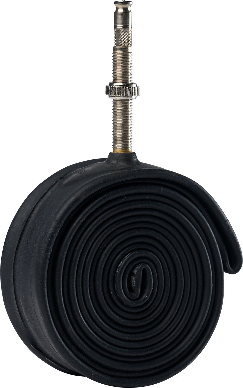 10465714_Schwalbe.jpg