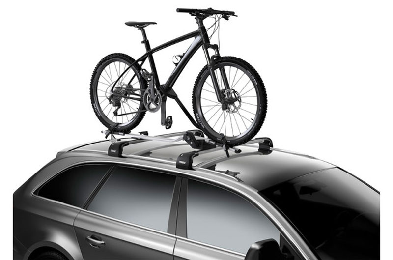 Thule_Dach-Fahrradträger-ProRide-598_silber_598001_c.jpg