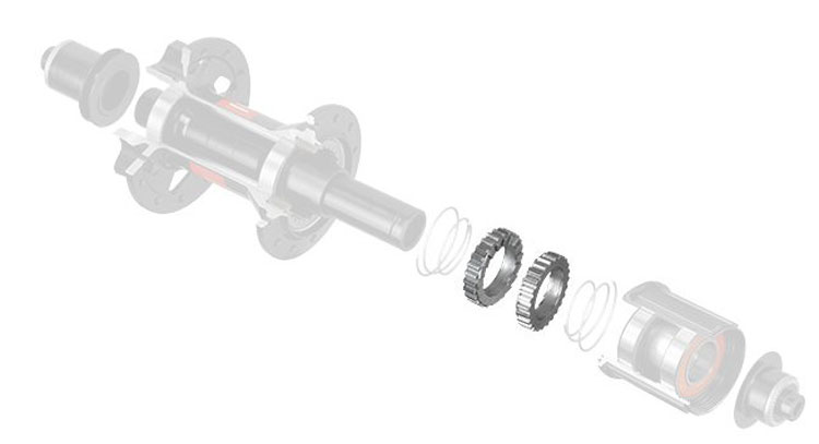 Kit d'entretien roue libre DT Swiss Rachet 54T EXP TOOL - WeRideOnShop