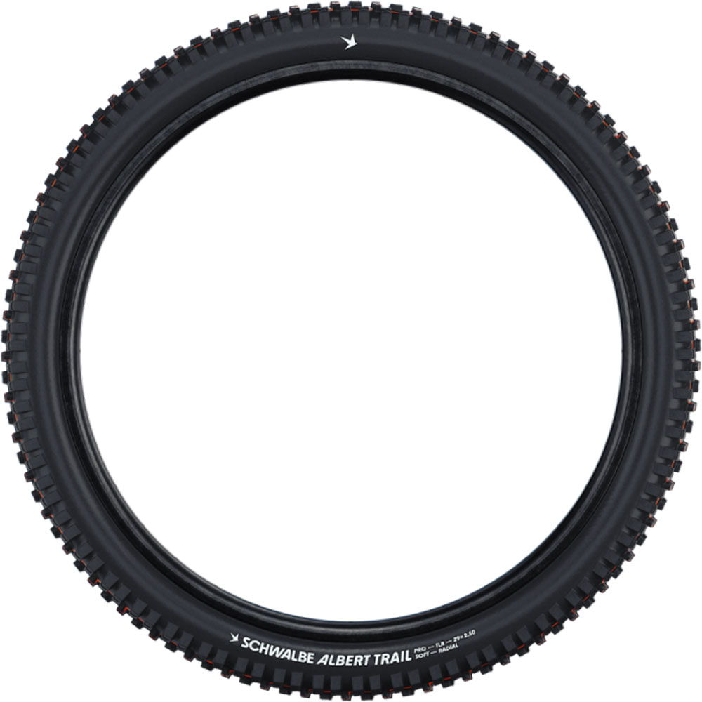 842k46hj1p1897qi60p47d8l7f_hs641_schwalbe_albert-gravity_pro_addix-soft_totale_800x800.jpg