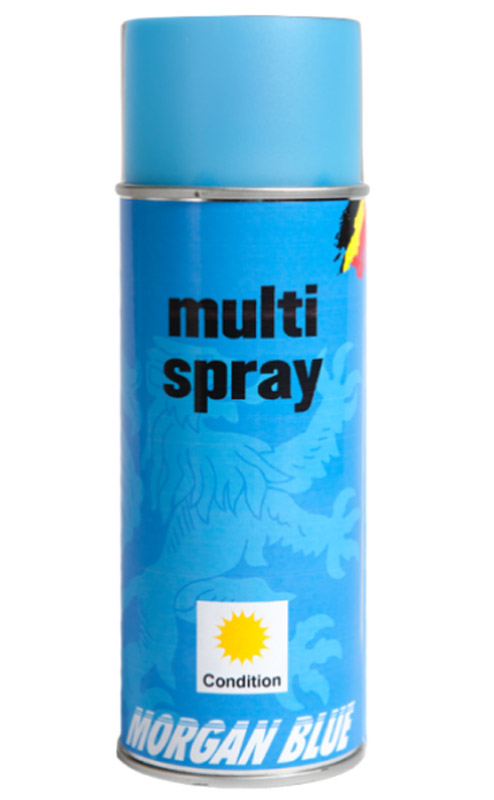 Morgan-Blue-Multi-Spray.jpg