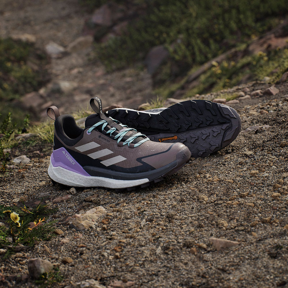 Adidas_Terrex_Free_Hiker2Low_GTX_trabrn_wonalu_carbon (1).jpg