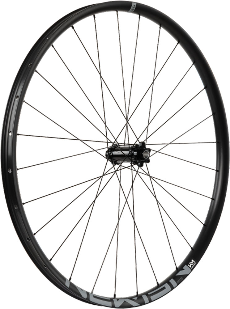 Newmen-Evolution-E.G.35-90816.jpg