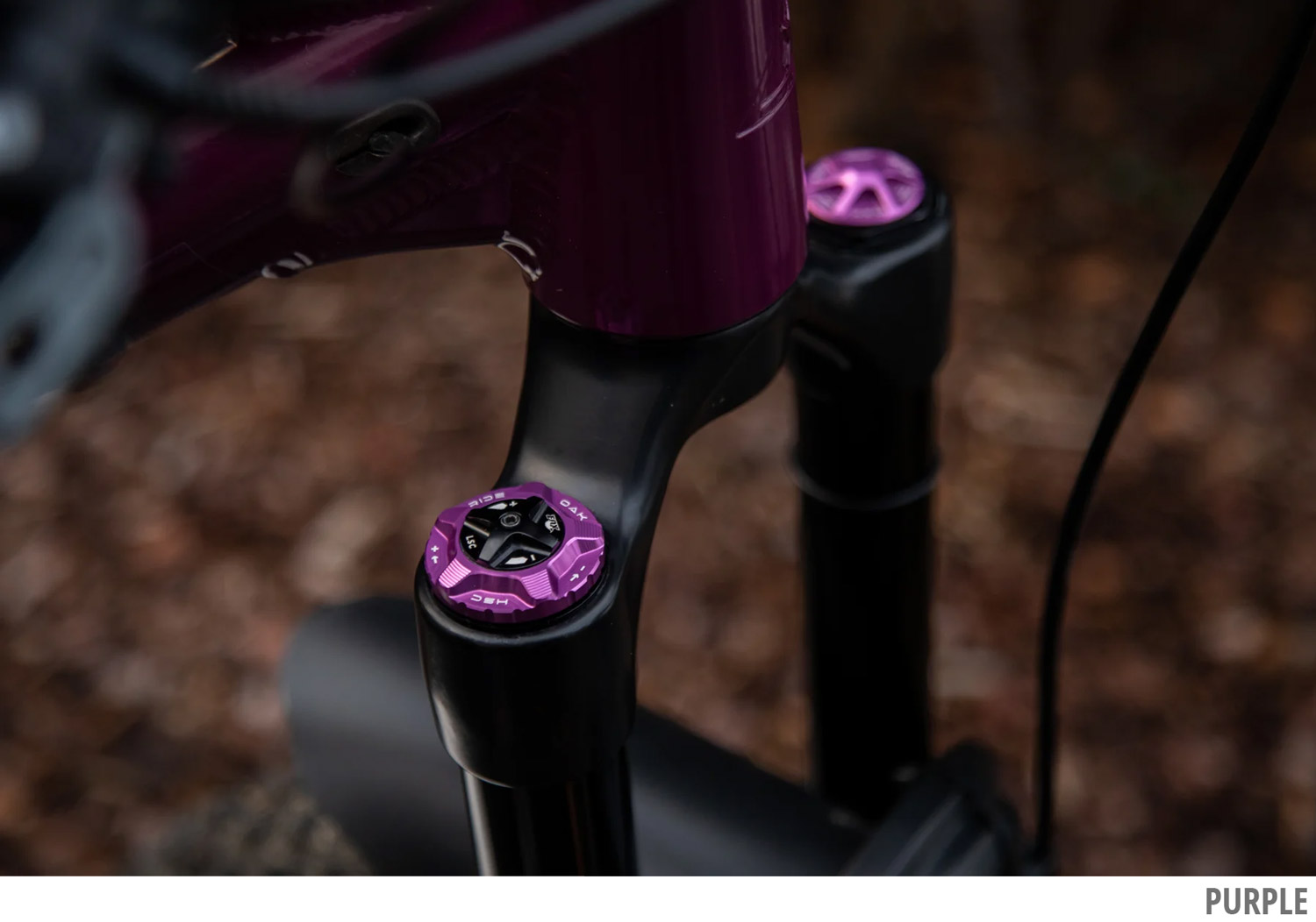 Forkcap-HSC-purple_07.jpg