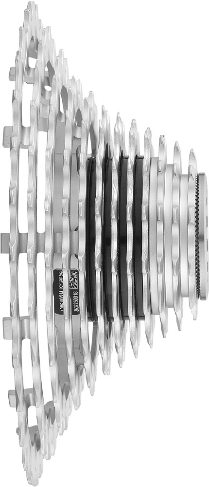 Campagnolo PIGNONI10-29-profilo-SUPER-RECORD-WRL-2024.jpg