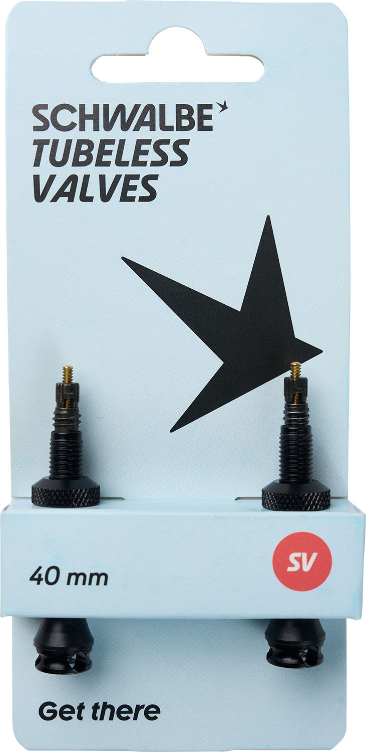 3534_Schwalbe.jpg