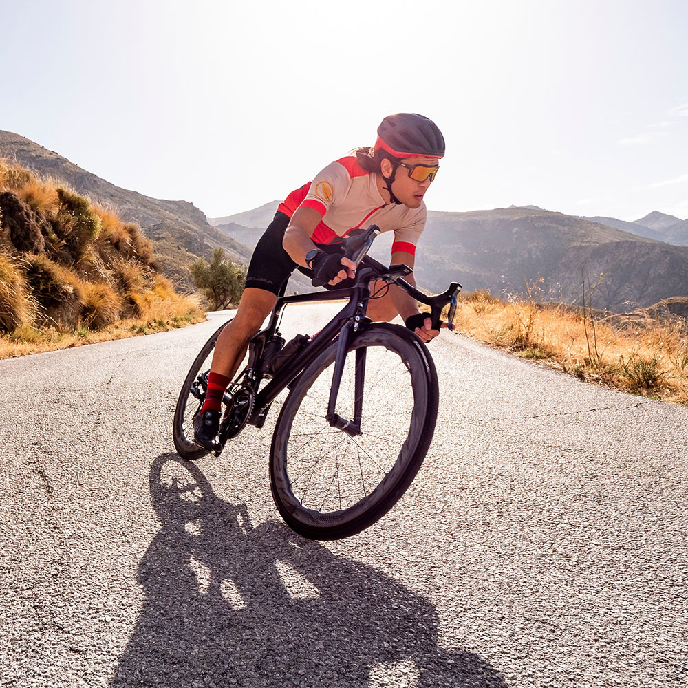 Endura_RE3236PO_Fs260_Print_Trikot (4).jpg