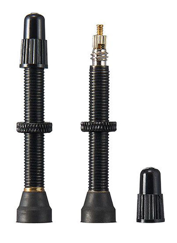 Ritchey_tubeless_valve_black_55000817002.jpg