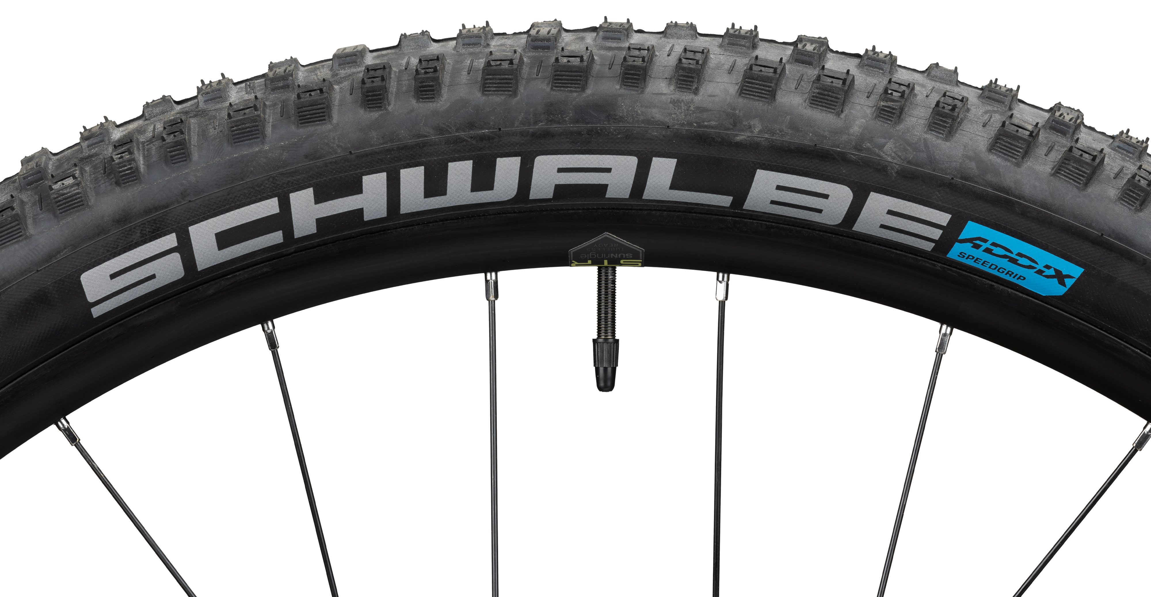 2024_JEALOUS_AL_8.0_HD_detail_03.jpg
