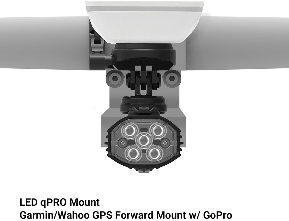 Garmin 1-LED-RP-GWGMT-V104 20154190 GarminWahoo GPS Forward Mount mit Gopro  (4).jpg