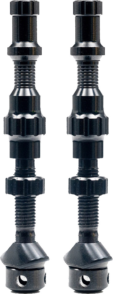 AS0239-Exo-Core-Tubelessventil-(Paar)(2).jpg