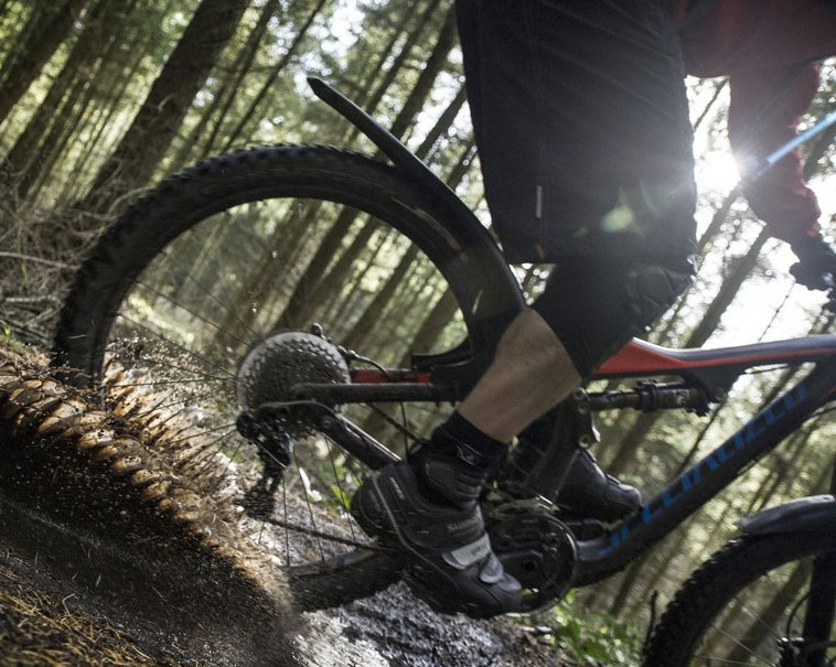 Mudhugger-Rear-29-2.jpg
