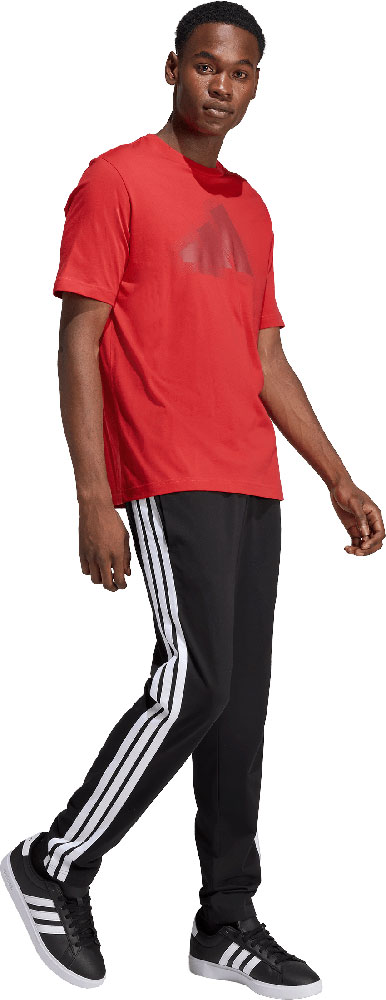 Adidas_Essentials_Graphic_Purrub (3).jpg