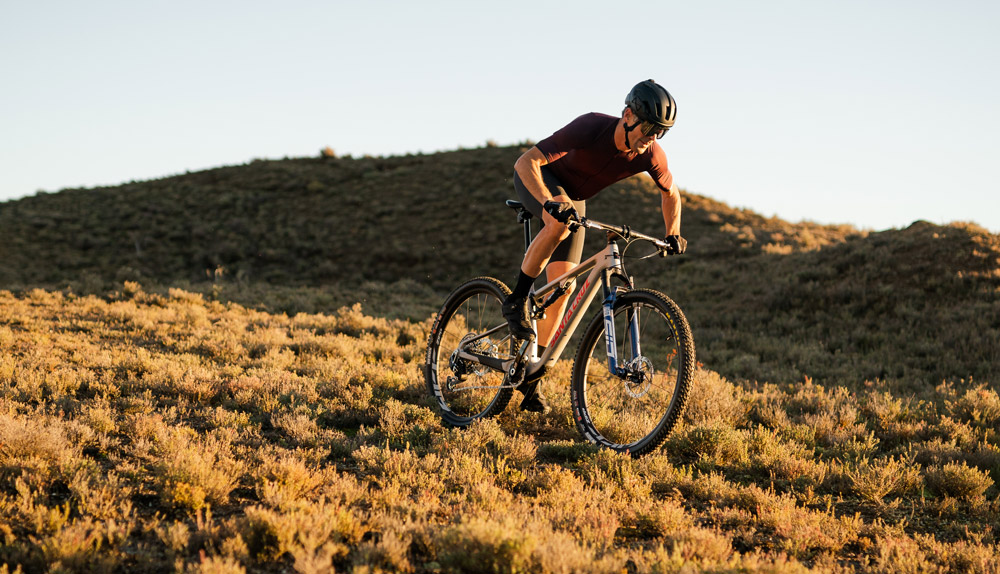 RockShox-SID-Ultimate-Race-Day-3P-Remote-120mm-Boost-00.4020.957.002-12.jpg