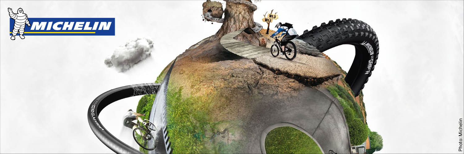 michelin.jpg