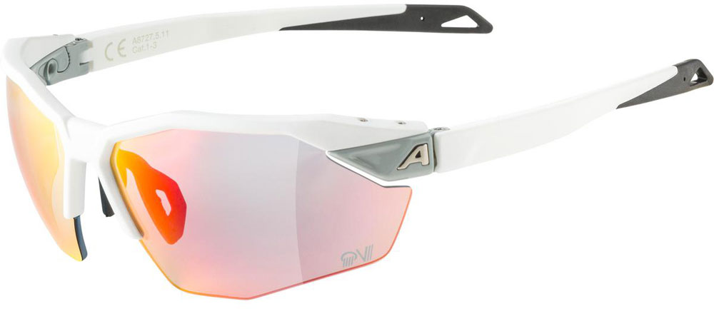 Alpina_A8727511_TwistSix_Sportbrille_ (1).jpg