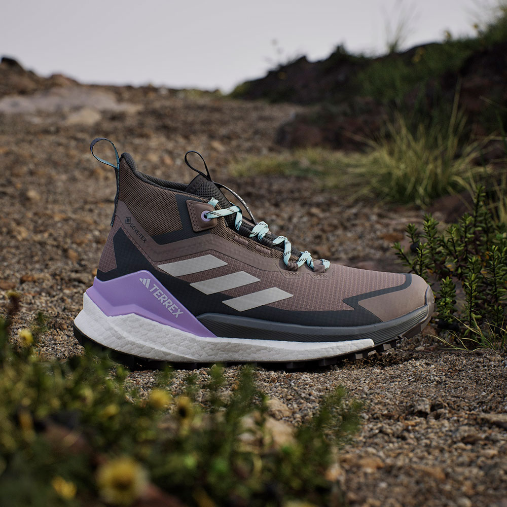 Adidas_Terrex_Free_Hiker2GTX_trabrn_wonalu_carbon (16).jpg