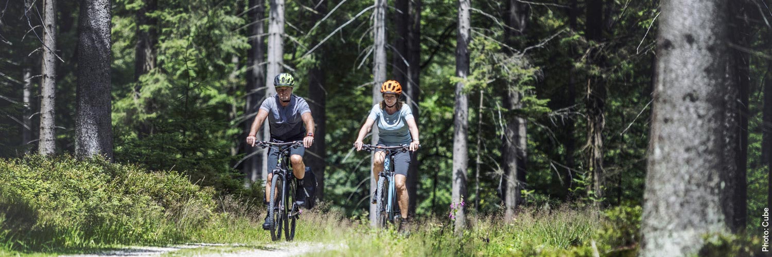 trekkingrad_damen.jpg