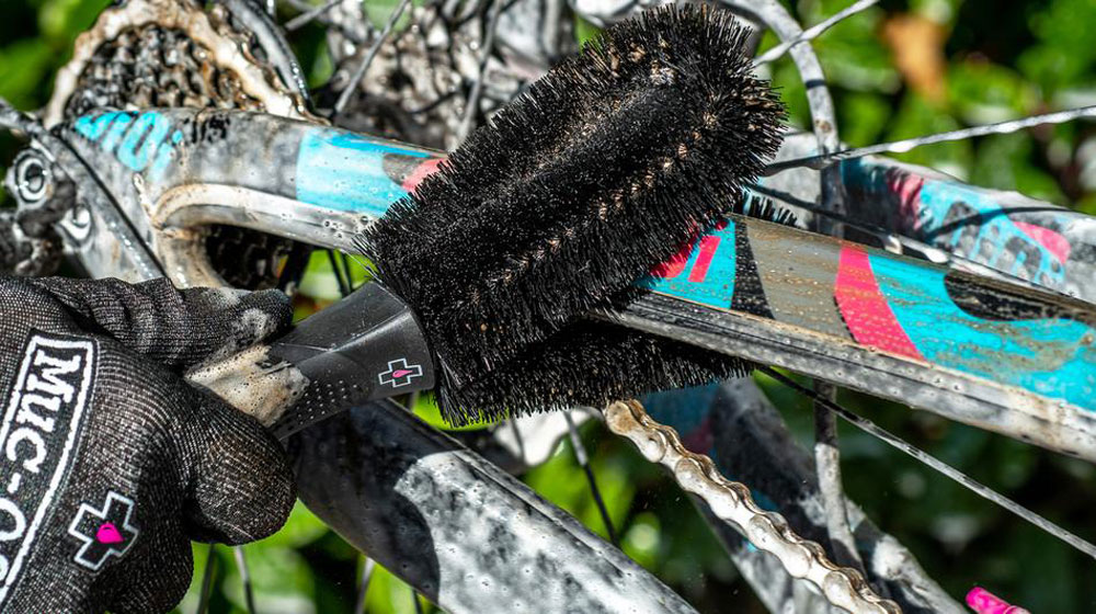 Two-Prong-Brush-PDP-Highlight_950x_crop_center.jpg