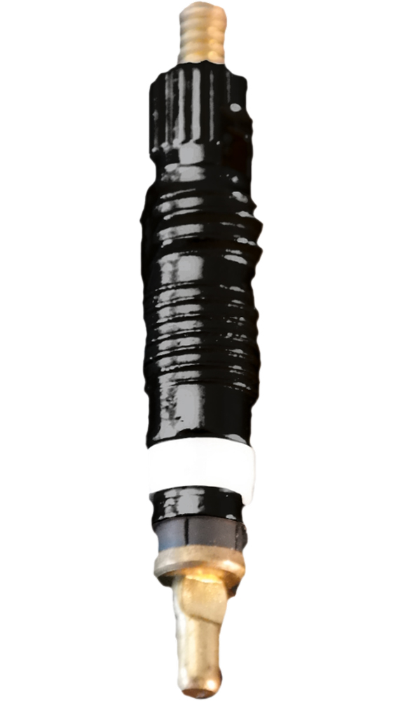 Schwalbe Kit de conversion de valve Clik Valve DV-SCV (argent, paire, clé, 2 bouchons anti