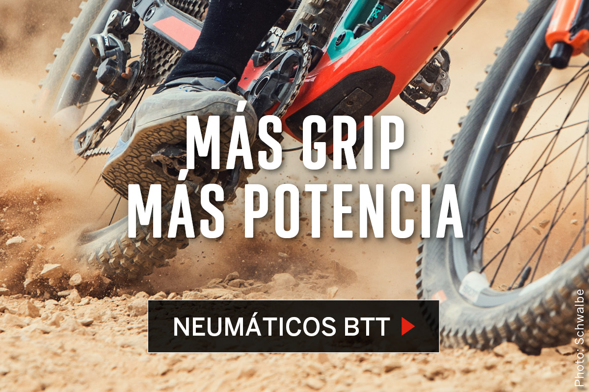 Cubiertas MTB